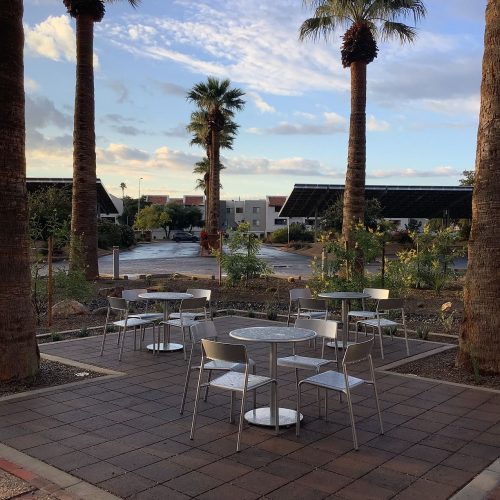 Outdoor patio area with metal tables and chairs, surrounded by palm trees, overlooking a parking lot with solar panel canopies and buildings in the background.