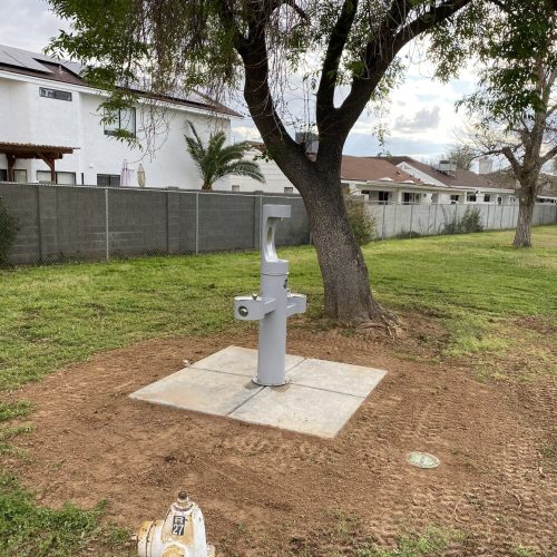 A gray drinking fountain is installed on a concrete pad near a tree in a grassy area, with a yellow fire hydrant in the foreground and houses in the background.
