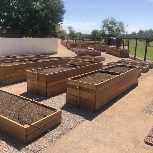 Several empty wooden raised garden beds are arranged in rows on a gravel surface in an outdoor area, with trees and a grassy field in the background.
